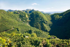 farra-di-soligo-paesaggio